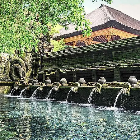 Umakelod Sebatu Villas